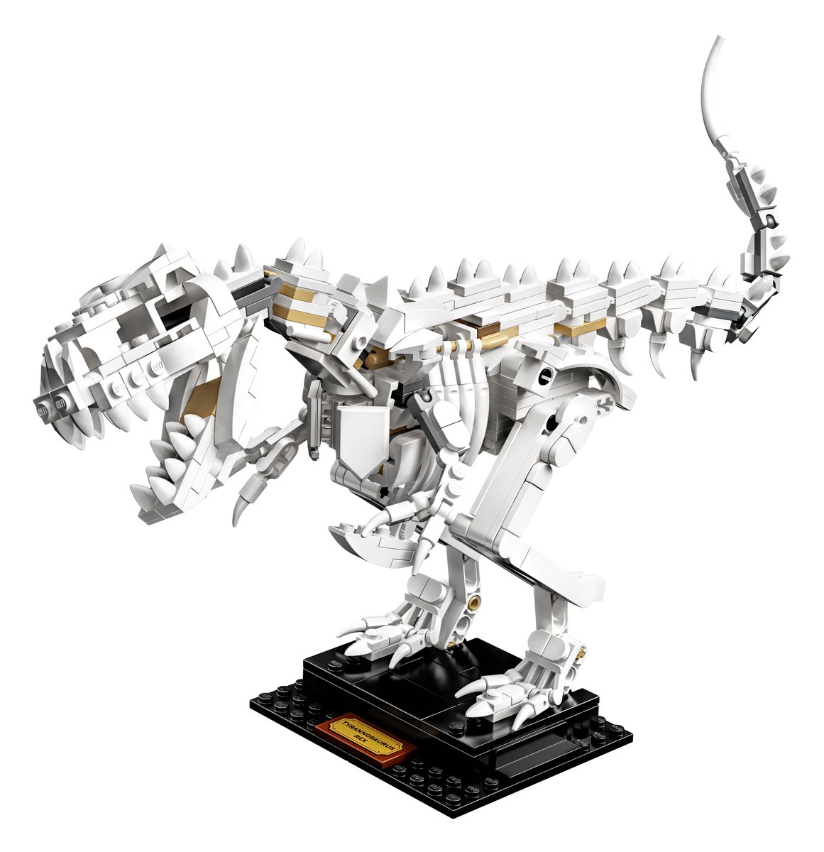乐高 LEGO 21320 Dinosaur Fossils｜IDEAS 系列（绝版现货）
