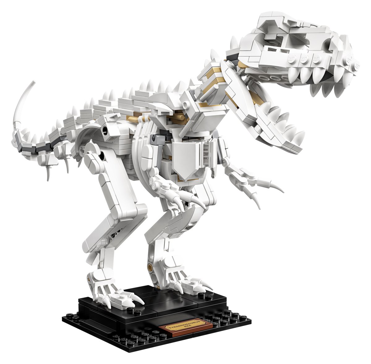 乐高 LEGO 21320 Dinosaur Fossils｜IDEAS 系列（绝版现货）