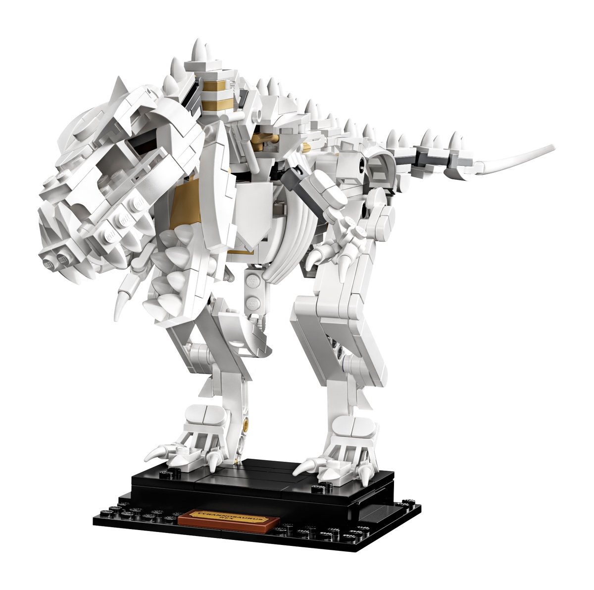 乐高 LEGO 21320 Dinosaur Fossils｜IDEAS 系列（绝版现货）